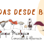salidas bezas