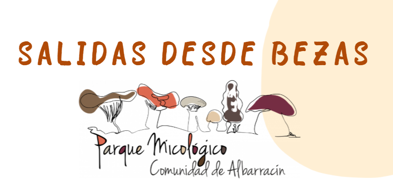 salidas bezas